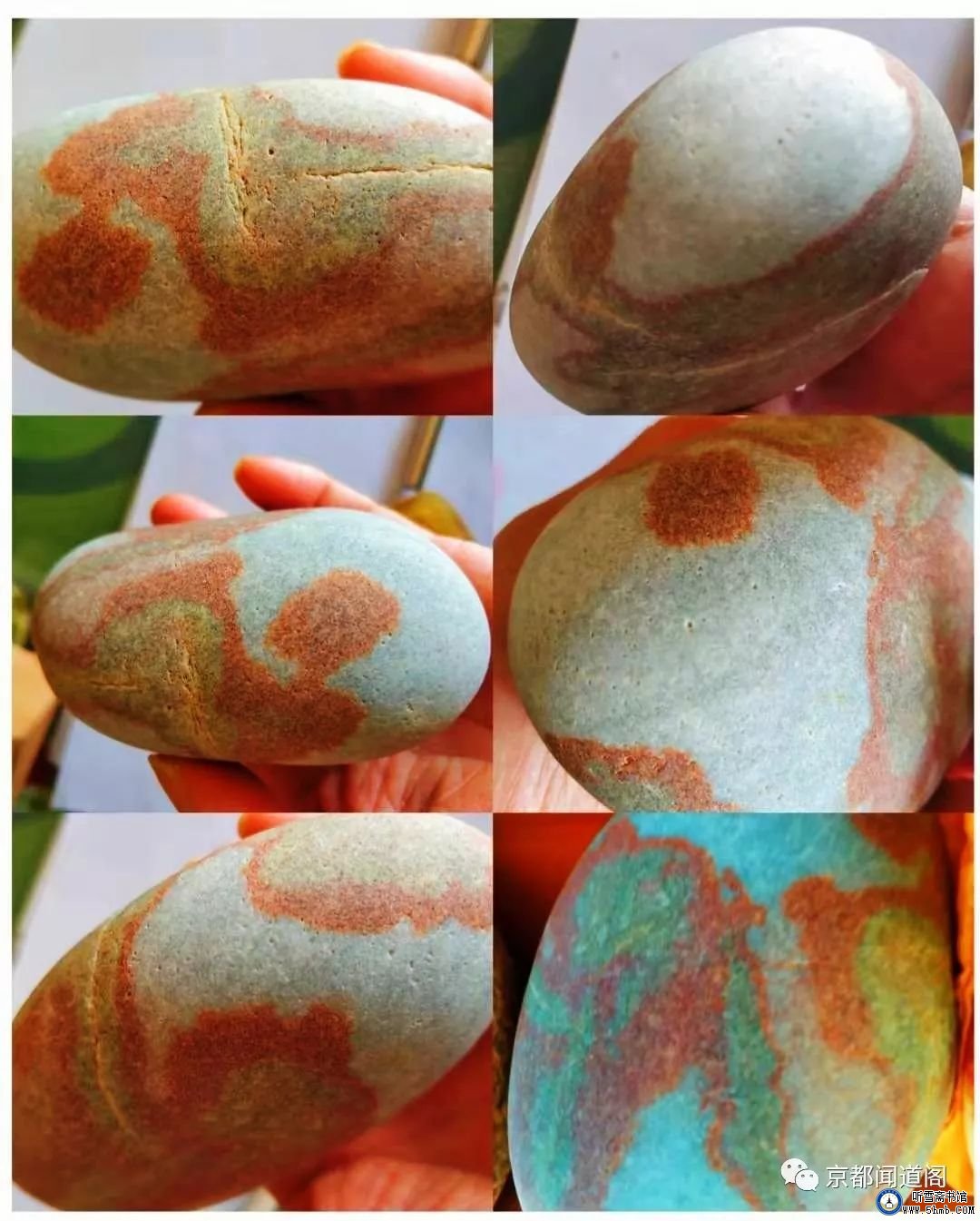 水兵再上老虎尾，你为何如此感怀？