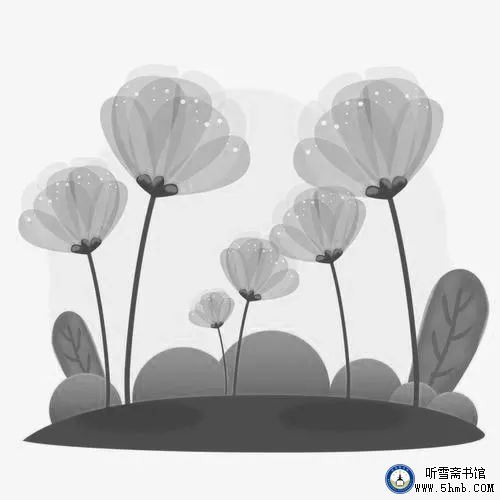 蓝海缘，未了情 —— 一名潜艇水兵报道员的成长足迹