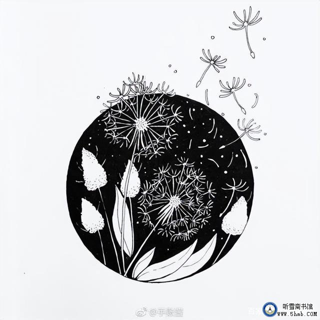 蓝海缘，未了情 —— 一名潜艇水兵报道员的成长足迹