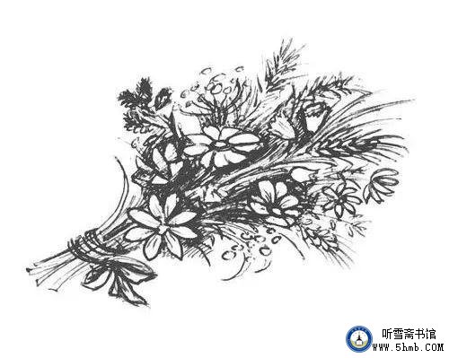 蓝海缘，未了情 —— 一名潜艇水兵报道员的成长足迹